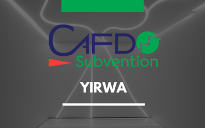 Programme Mini-Subventions : soutien pour les activités des acteurs en faveur de l’avancement de l’agenda de l’ouverture des données en Afrique Francophone.