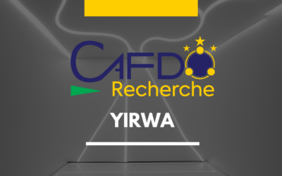 Programme de recherche : Étude sur la demande en données pour comprendre les besoins en données dans les différents secteurs et optimiser l’utilisation des données en Afrique francophone.