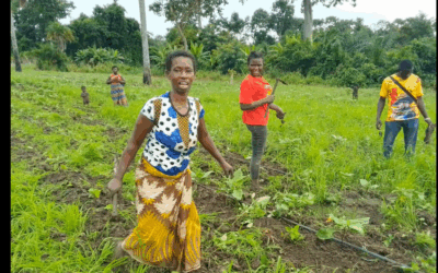Données ouvertes pour la durabilité environnementale : L’impact en Côte d’Ivoire