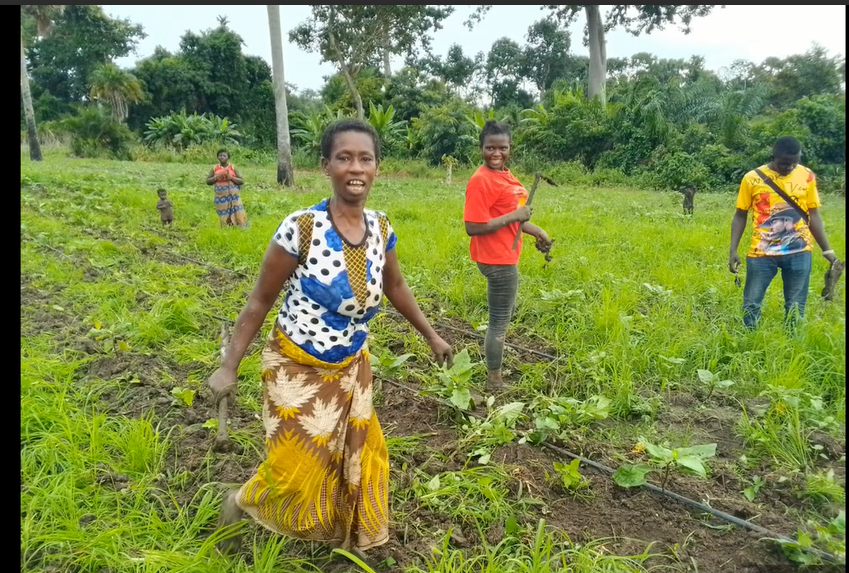 Données ouvertes pour la durabilité environnementale : L’impact en Côte d’Ivoire