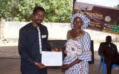 Une base de données ouvertes sur les techniques demaraîchage biologique et durable au profil des petits exploitants dans le cercle de Siby,région de Koulikoro