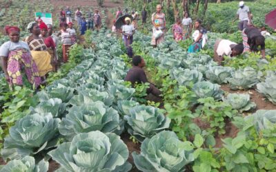 Lùbenga : Quand les données climatiques transforment l’agriculture rurale